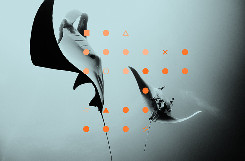 Windward Ltd. cover image